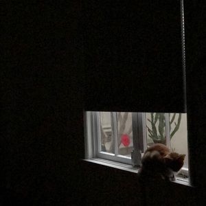 Meet your Posher, Ian